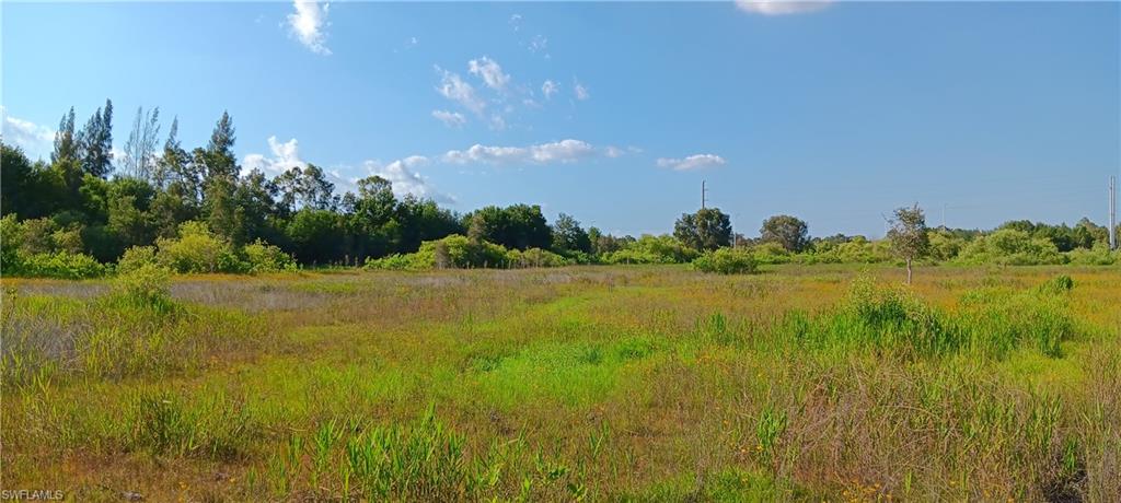 11641 Gooden Grove Rd Property Photo 2