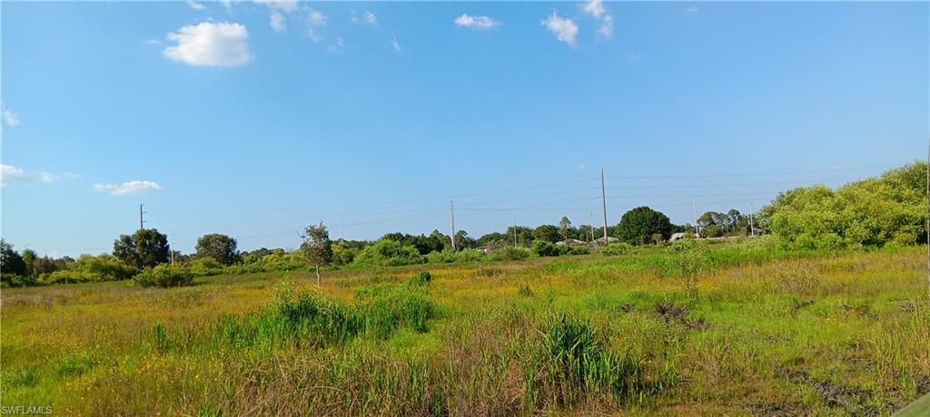 11641 Gooden Grove Rd Property Photo 3