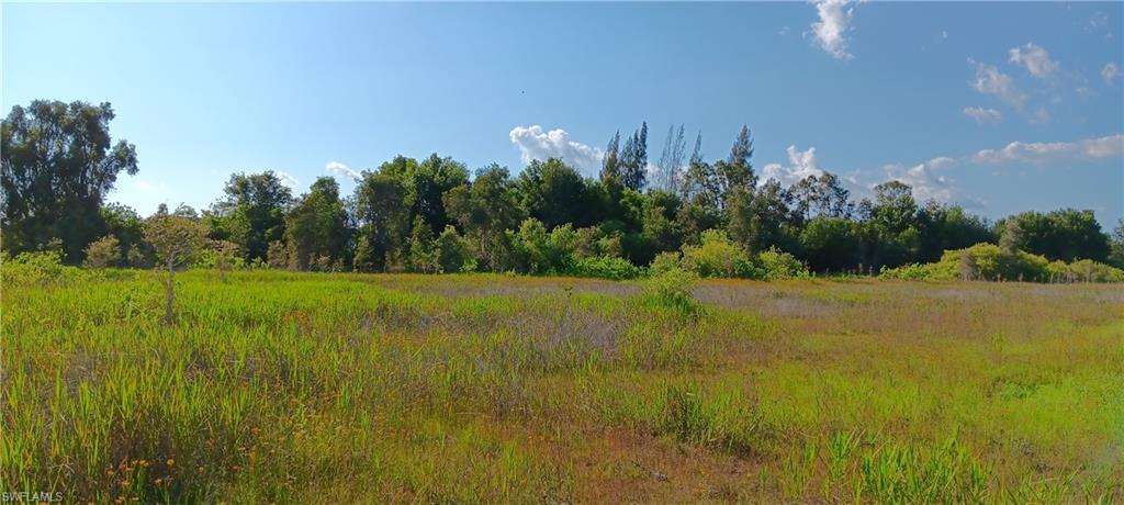 11750 Gooden Grove Rd Property Photo 2