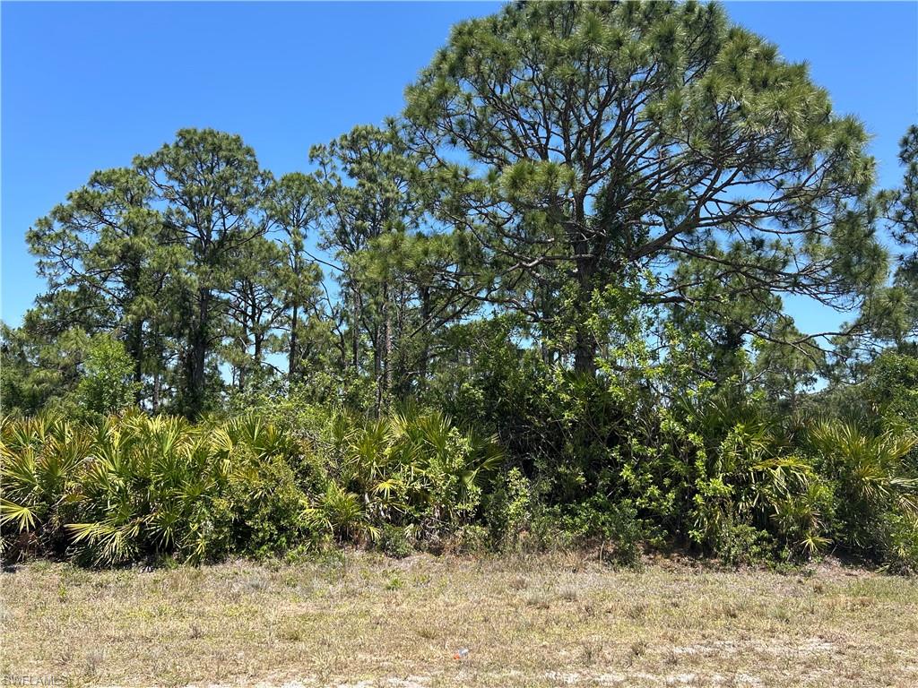 1135 Jaguar Blvd Property Photo 2