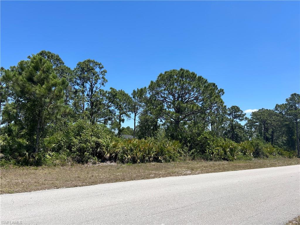 1135 Jaguar Blvd Property Photo 3