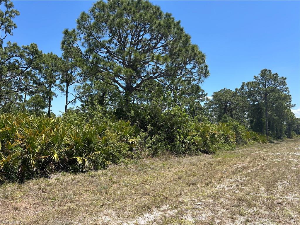 1135 Jaguar Blvd Property Photo 4