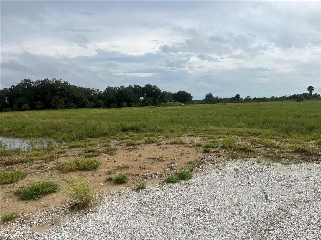 46310 Neal Rd Property Photo 18