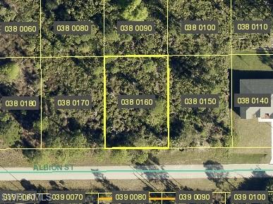 1029 Albion ST Property Photo 1