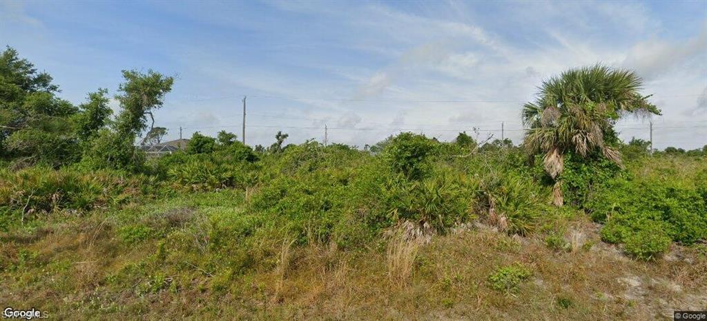 225042355 Property Photo