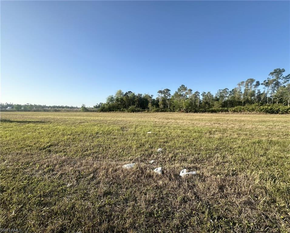 2718 Ceitus Pkwy Property Photo 4