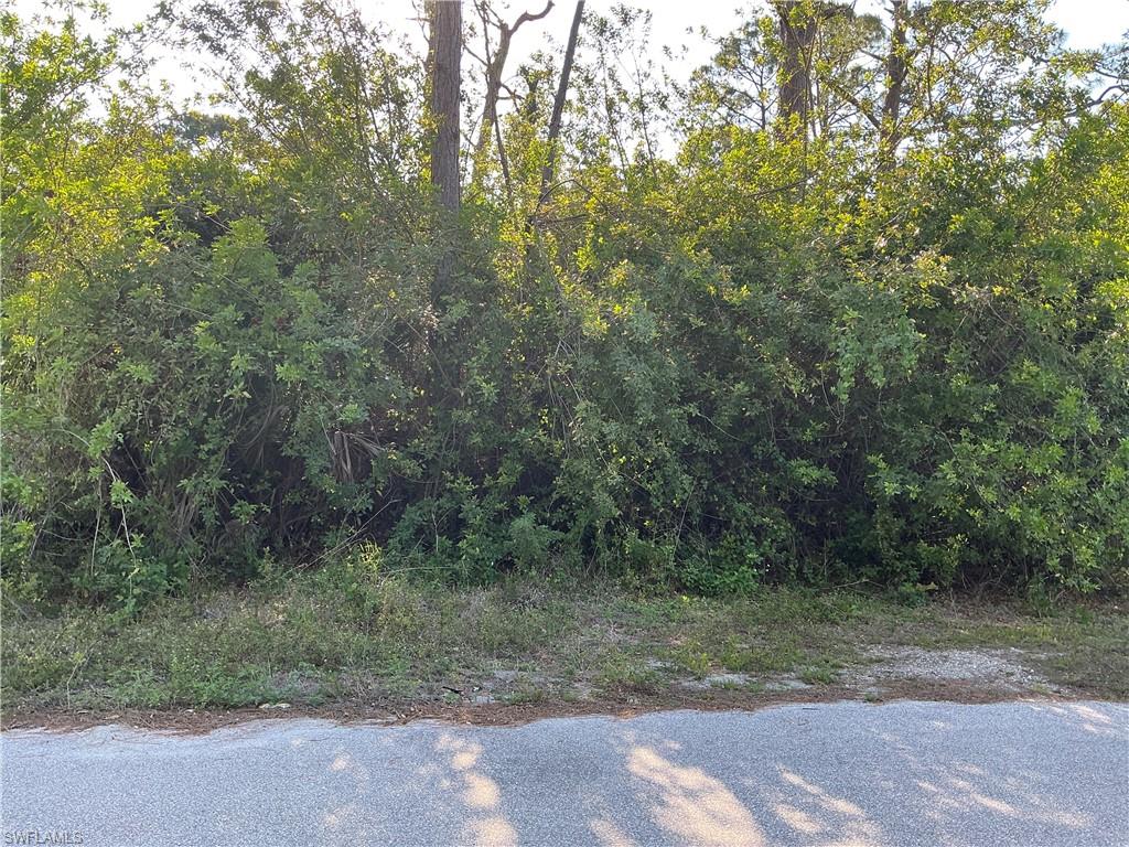 636 Sunflower AVE S Property Photo 1
