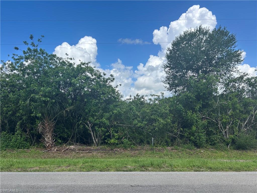 630 Hacienda St N Property Photo 5
