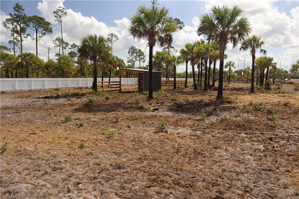 2455 Woodland Estates Rd Property Photo 15