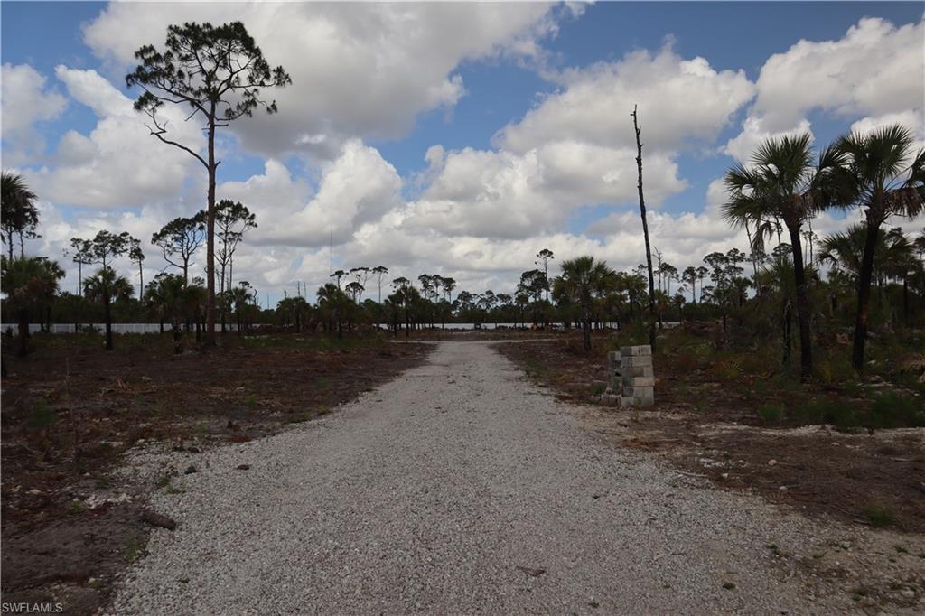 2455 Woodland Estates Rd Property Photo 18