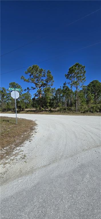 12364 Los Olas Dr Property Photo 2
