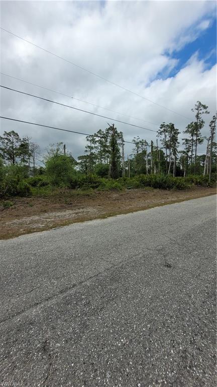 1003 Louis Ave Property Photo 2