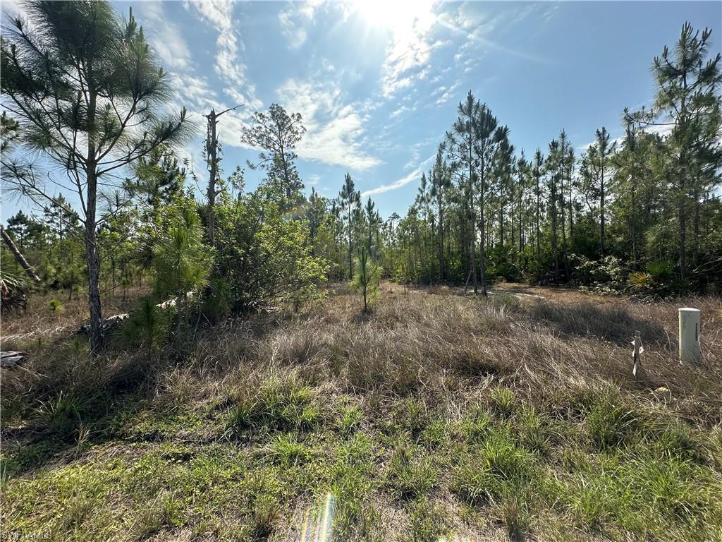 1014 Jackson Ave Property Photo 2