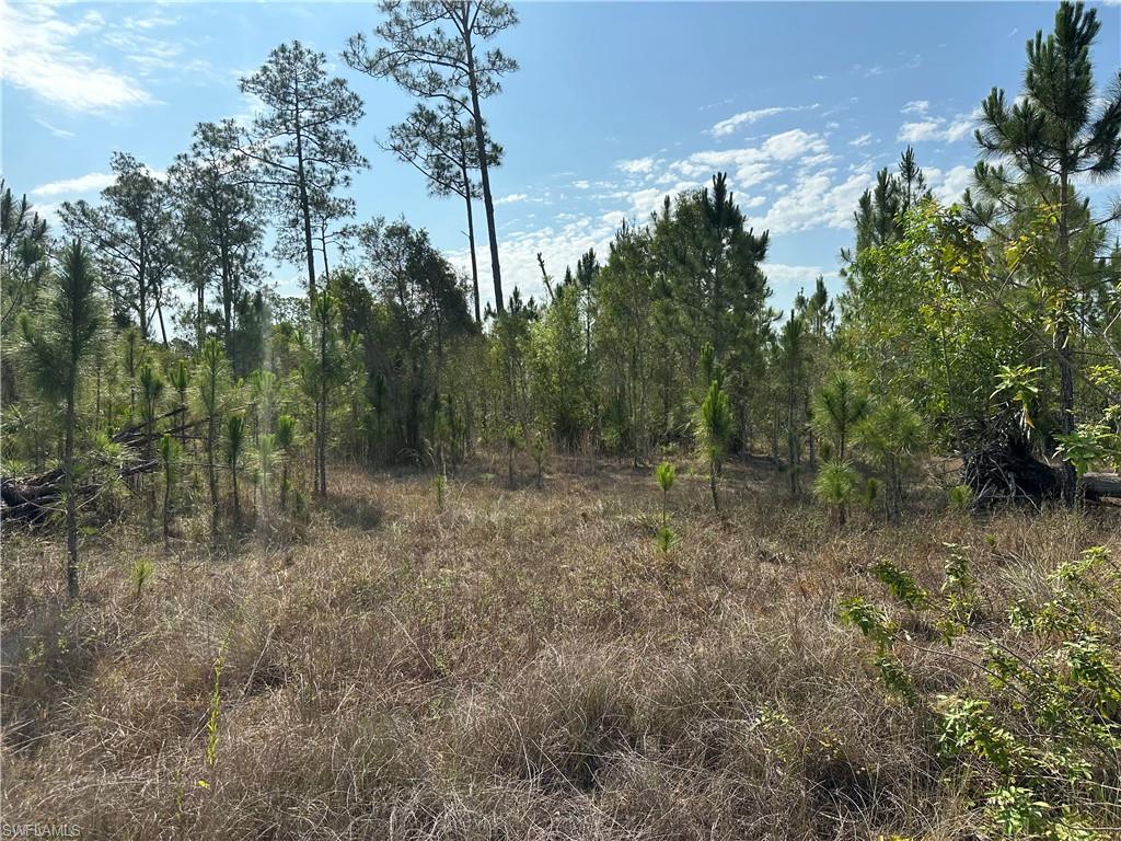 1014 Jackson Ave Property Photo 3