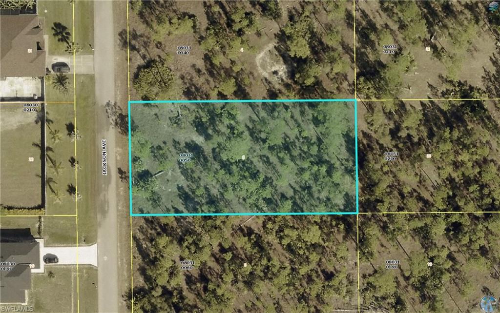 1014 Jackson Ave Property Photo 6