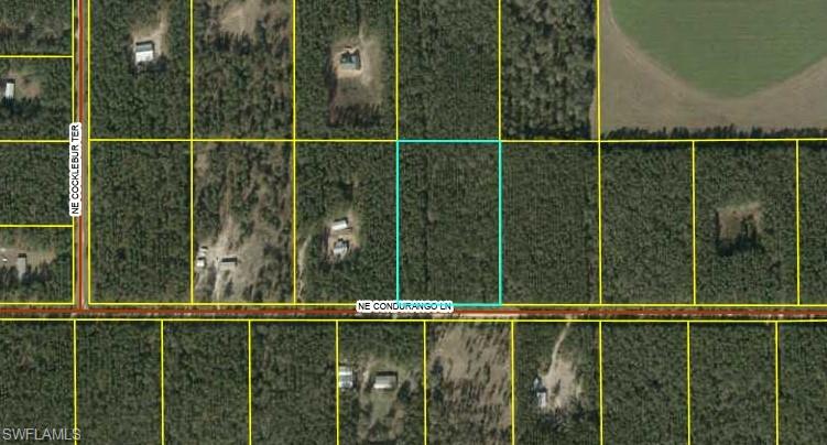 Cordurango Ln Ne Property Photo