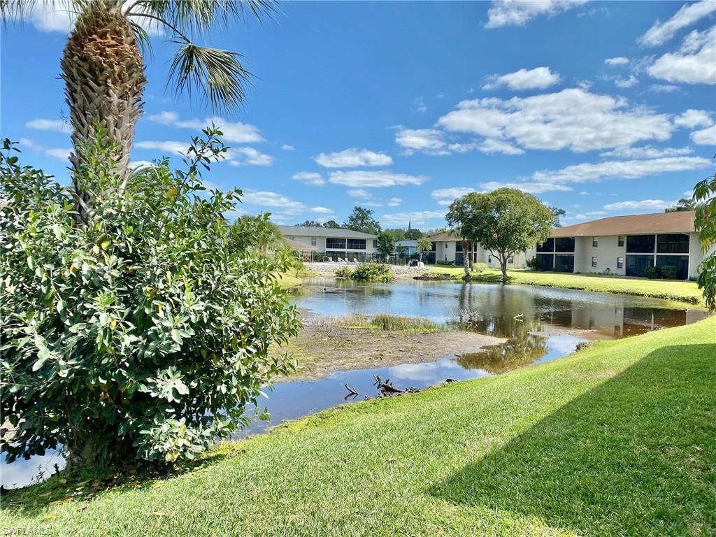 145 Cypress Way E # A Property Photo 24