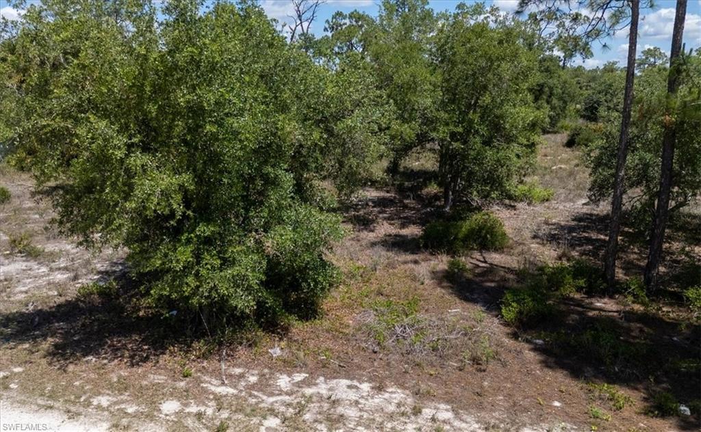 7906 23rd Pl Property Photo 24