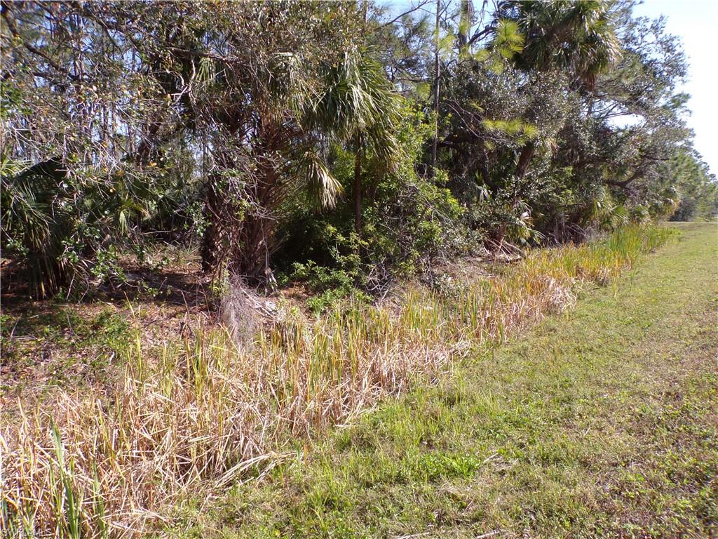 1316 Biscayne Dr Property Photo 5