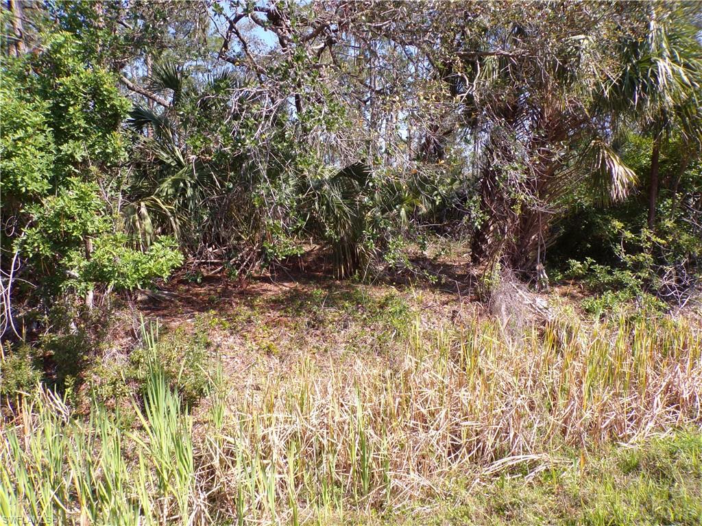 1316 Biscayne Dr Property Photo 7