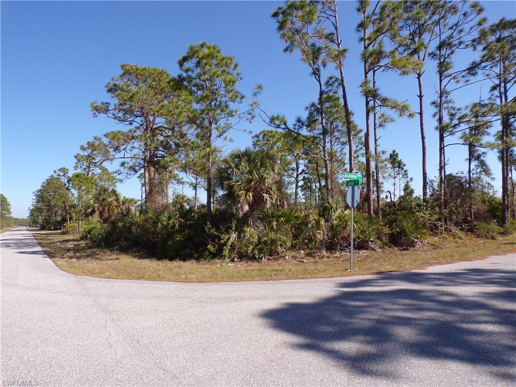 12070 Ashley Ave Property Photo 1