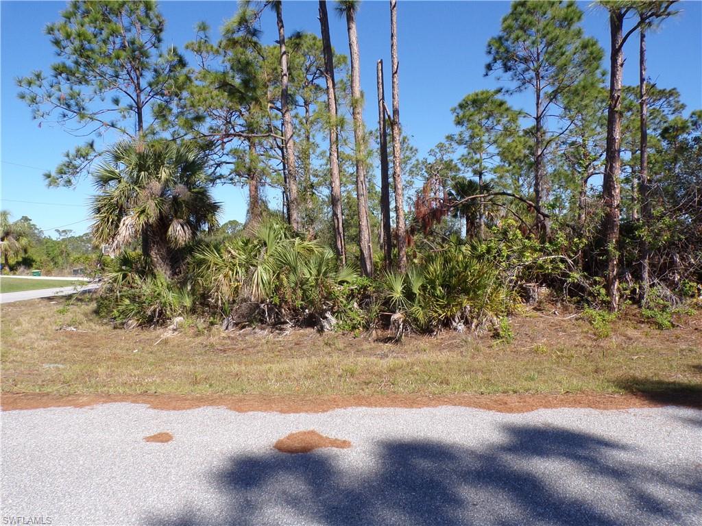 12070 Ashley Ave Property Photo 11