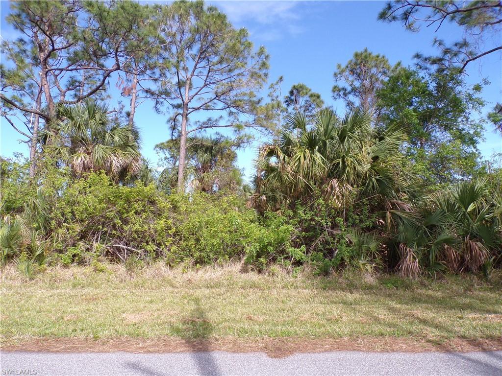 3142 Callisto St Property Photo 1