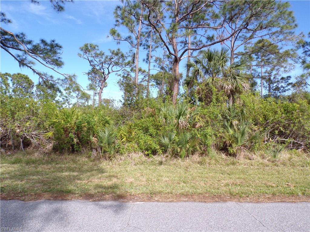 3142 Callisto St Property Photo 2