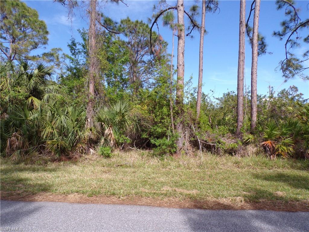 3142 Callisto St Property Photo 5