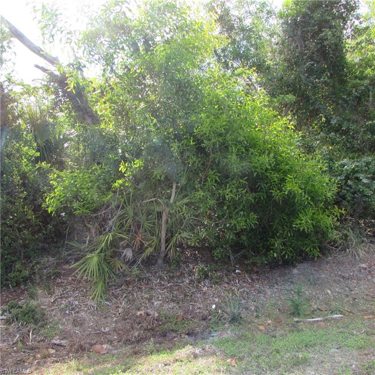 12348 Dolphin Rd Property Photo 2