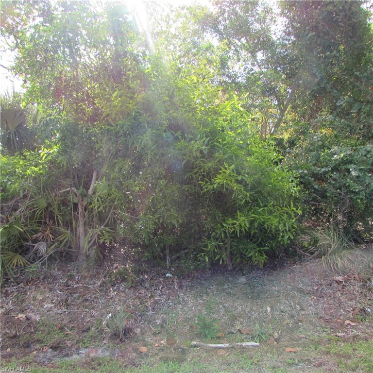 12348 Dolphin Rd Property Photo 3