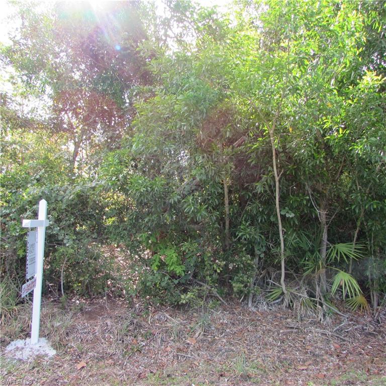 12348 Dolphin Rd Property Photo 4