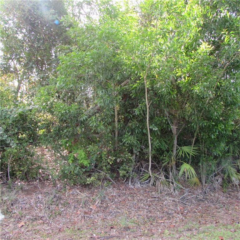 12348 Dolphin Rd Property Photo 5