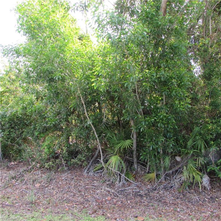12348 Dolphin Rd Property Photo 6