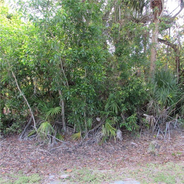 12348 Dolphin Rd Property Photo 7