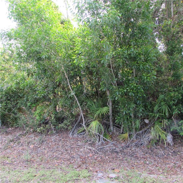 12348 Dolphin Rd Property Photo 8