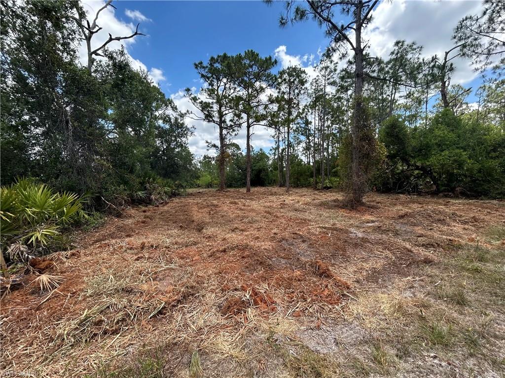 27242 Mandarin DR Property Photo 1