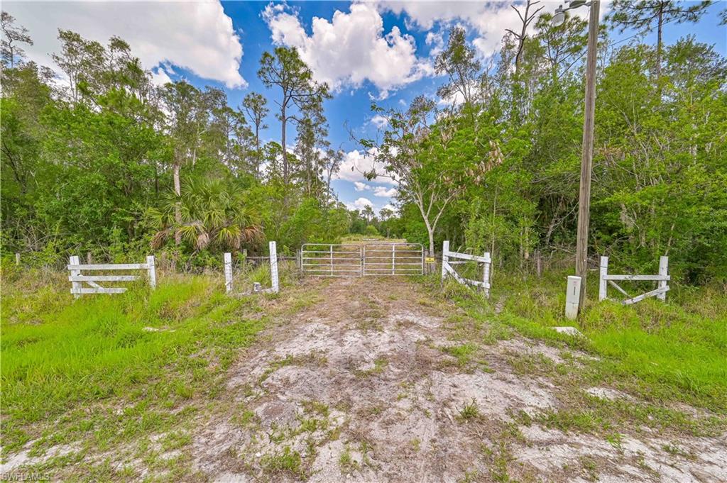10061 Deal Rd Property Photo 8