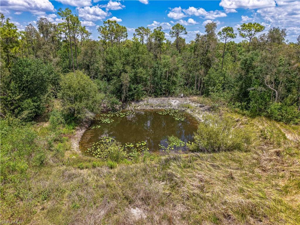 10061 Deal Rd Property Photo 9