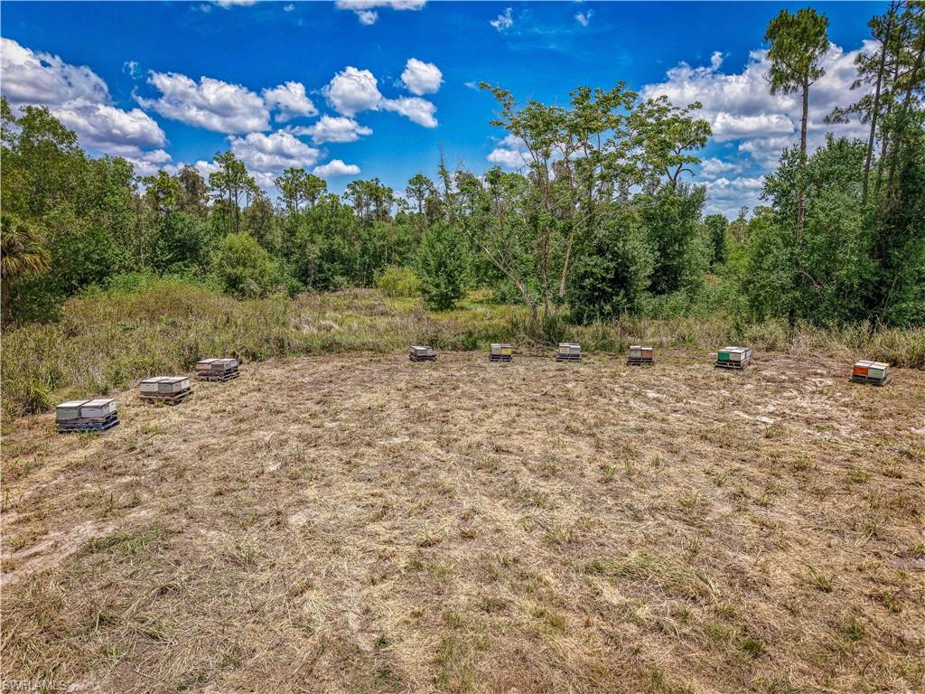 10061 Deal Rd Property Photo 10