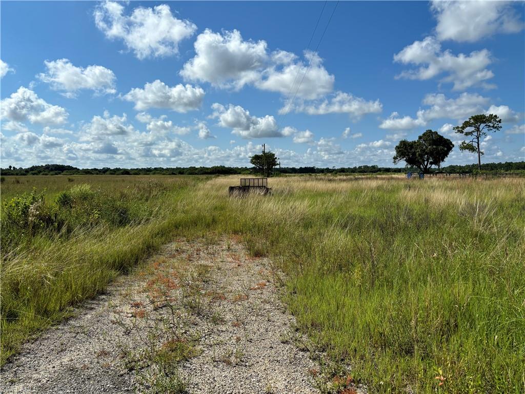 2516 Christopher Lane Property Photo 4