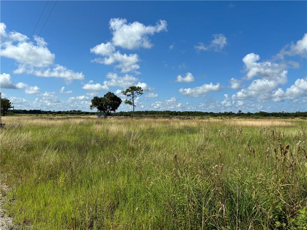 2516 Christopher Lane Property Photo 5