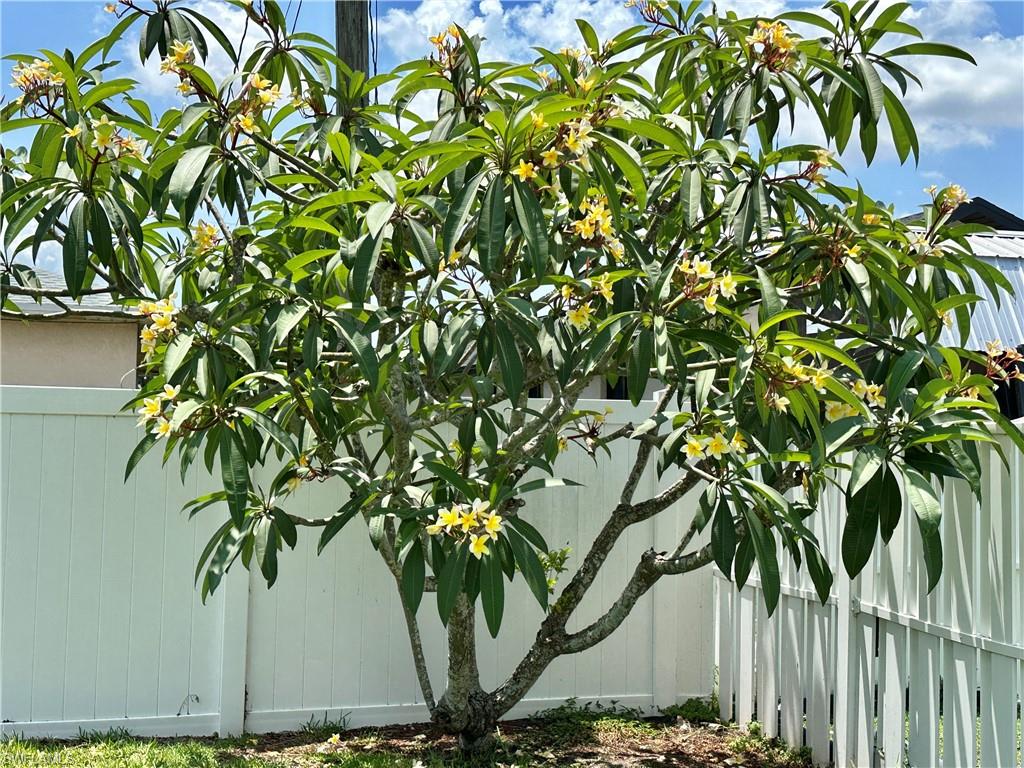 412 Se 13th Ave Property Photo 47