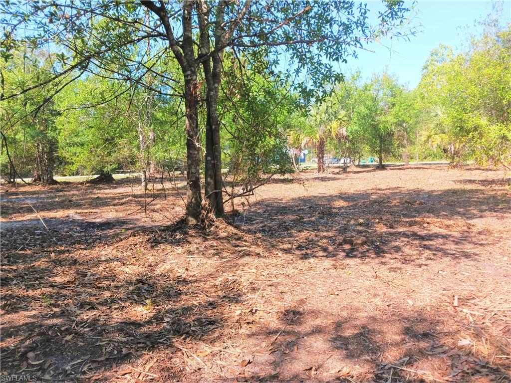 11320 Third Ave Property Photo 3