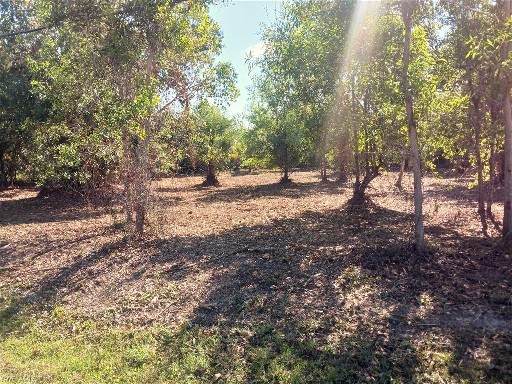 11320 Third Ave Property Photo 6