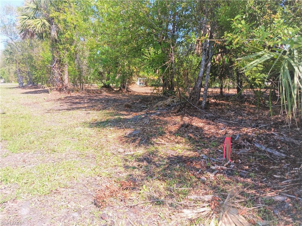 11320 Third Ave Property Photo 12