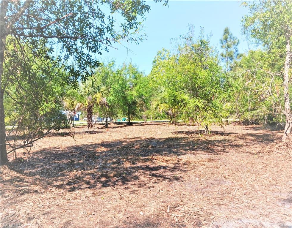 11320 Third Ave Property Photo 17