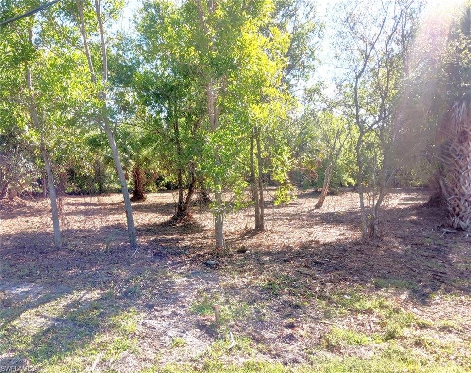 11320 Third Ave Property Photo 22