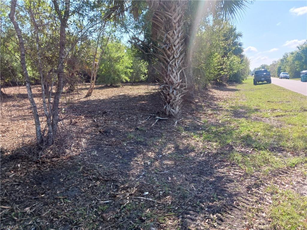 11320 Third Ave Property Photo 25