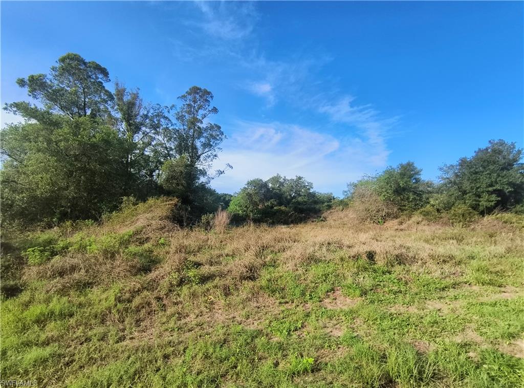 254 Avenida Del Centro Property Photo 2